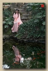 _IGP8206+-