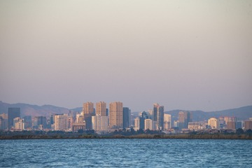 SWJ_8767