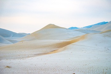 SWJ_5559