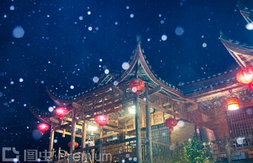 SWJ_4439