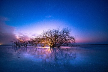 SWJ_5684