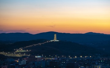 SWJ_8546