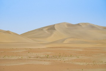SWJ_2164