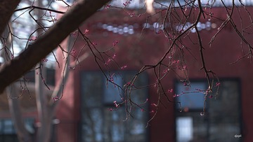 6BB561FA-0F8E-465B-91D3-939AE75DDE53/L0/001