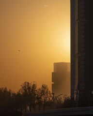 Optional("05A5251E-1267-4552-ABEF-6AAFBB4C340F/L0/001")