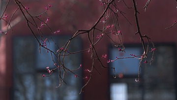 32F830BE-B451-4047-B6F7-56F7435DF064/L0/001