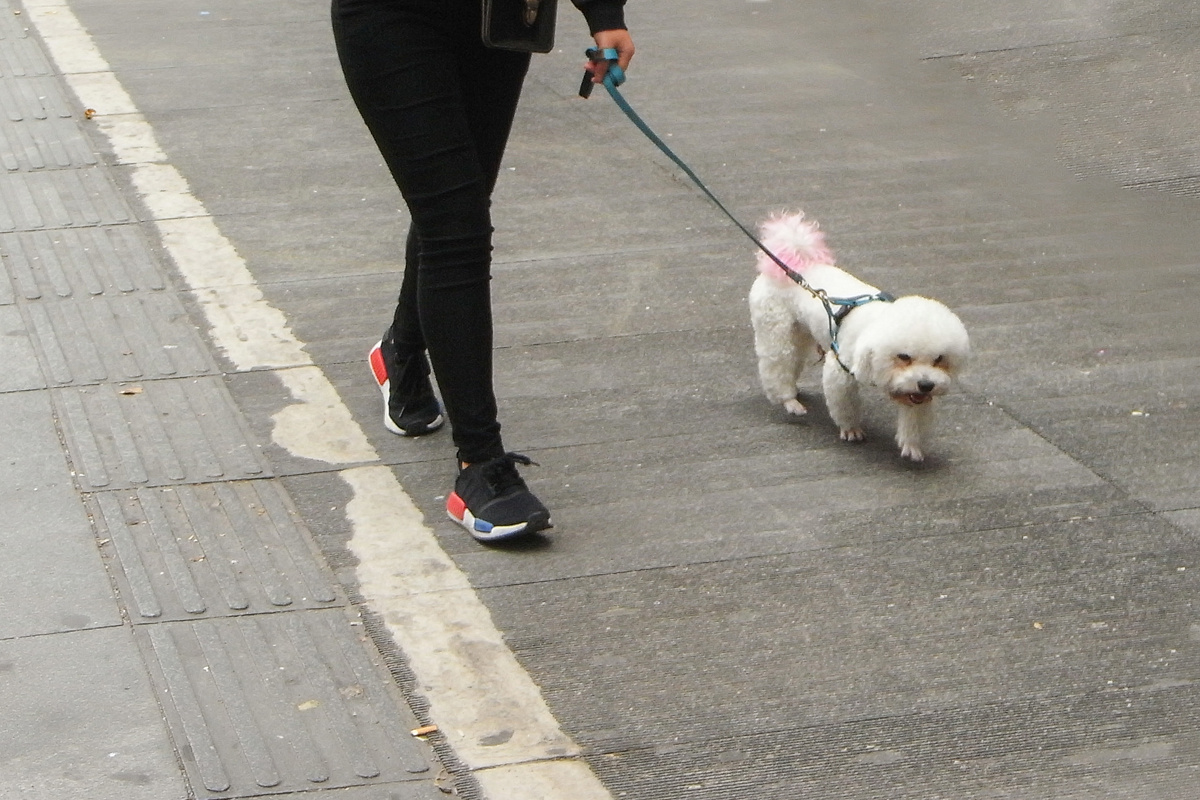 遛- 漠水秋光 - 图虫网 - 最好的摄影师都在这