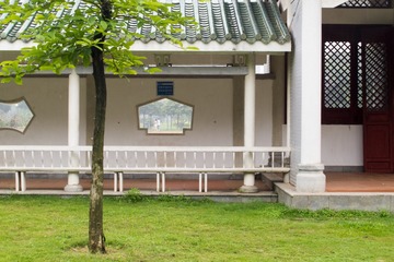 DPP_5146