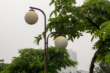 DPP_5151