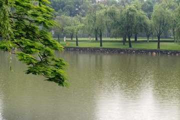 DPP_5153