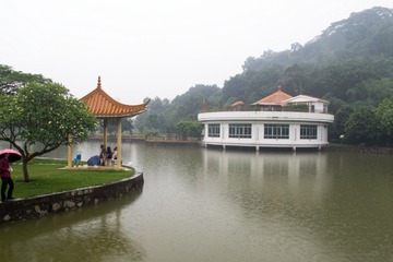 DPP_5155