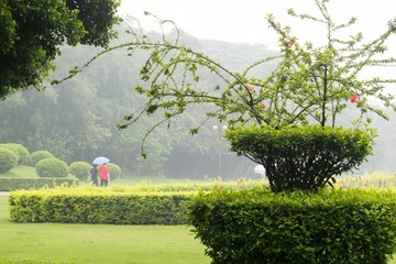 DPP_5159