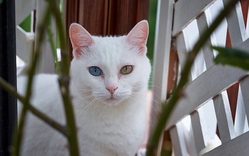 DSC01314_DXO