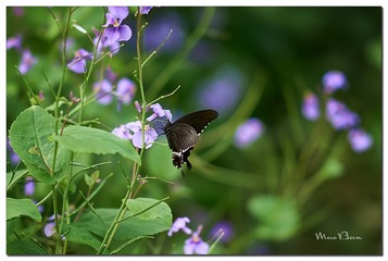 DSC01679_DXO (复制)