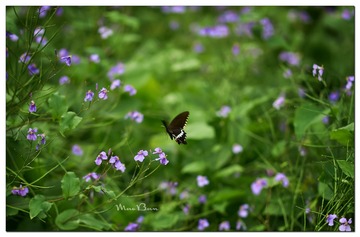 DSC01682_DXO (复制)