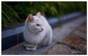 DSC07965_DXO