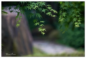 DSC01824_DXO