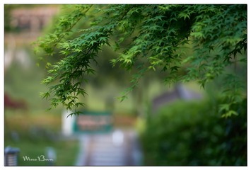 DSC01701_DXO