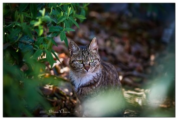 DSC01449_DXO