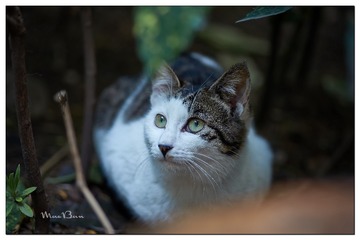 DSC01473_DXO