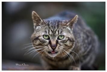 DSC01577_DXO