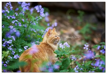 DSC01585_DXO