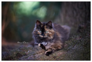 DSC01653_DXO