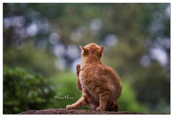 DSC01855_DXO