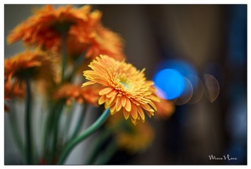 DSC01760_DXO (复制)