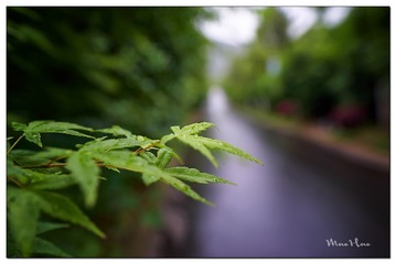 DSC08646_DXO