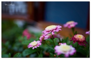 DSC08502_DXO