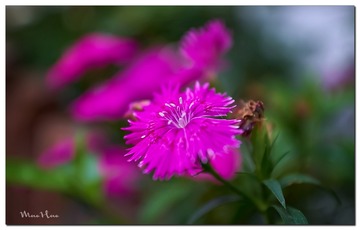 DSC08505_DXO