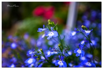 DSC08563_DXO
