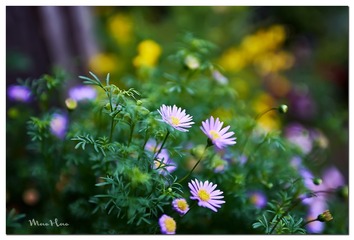 DSC08569_DXO