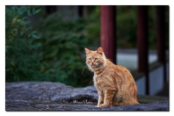 DSC05662_DXO
