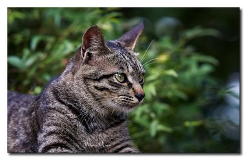 DSC05687_DXO