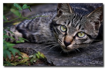 DSC05702_DXO
