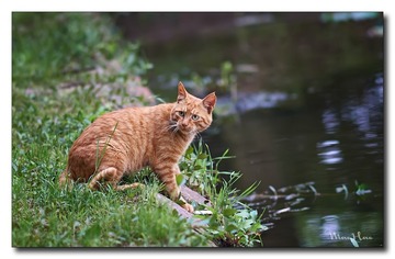 DSC05754_DXO