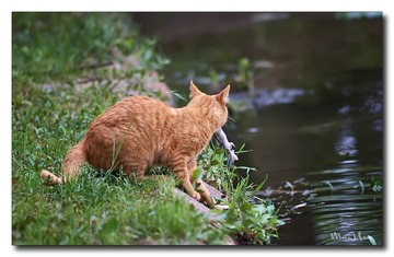 DSC05756_DXO