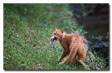 DSC05758_DXO