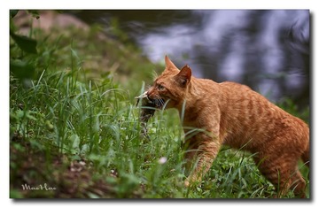 DSC05764_DXO