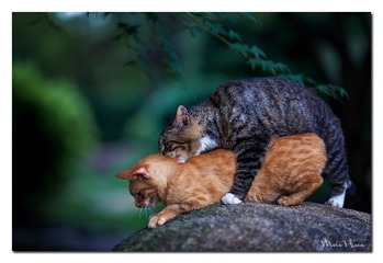 DSC05796_DXO