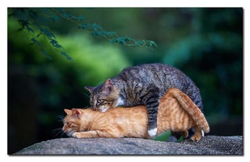 DSC05809_DXO