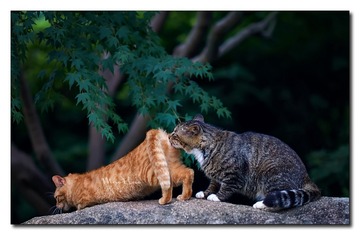 DSC05813_DXO