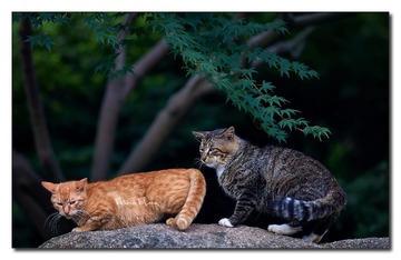 DSC05815_DXO