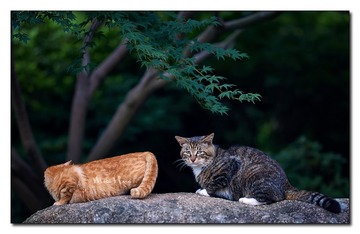 DSC05817_DXO
