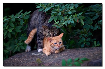DSC05828_DXO