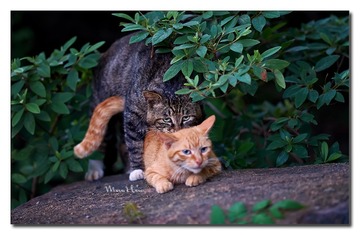 DSC05829_DXO
