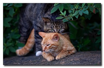 DSC05830_DXO