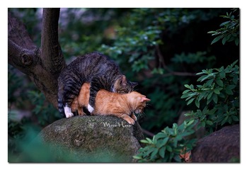 DSC05825_DXO